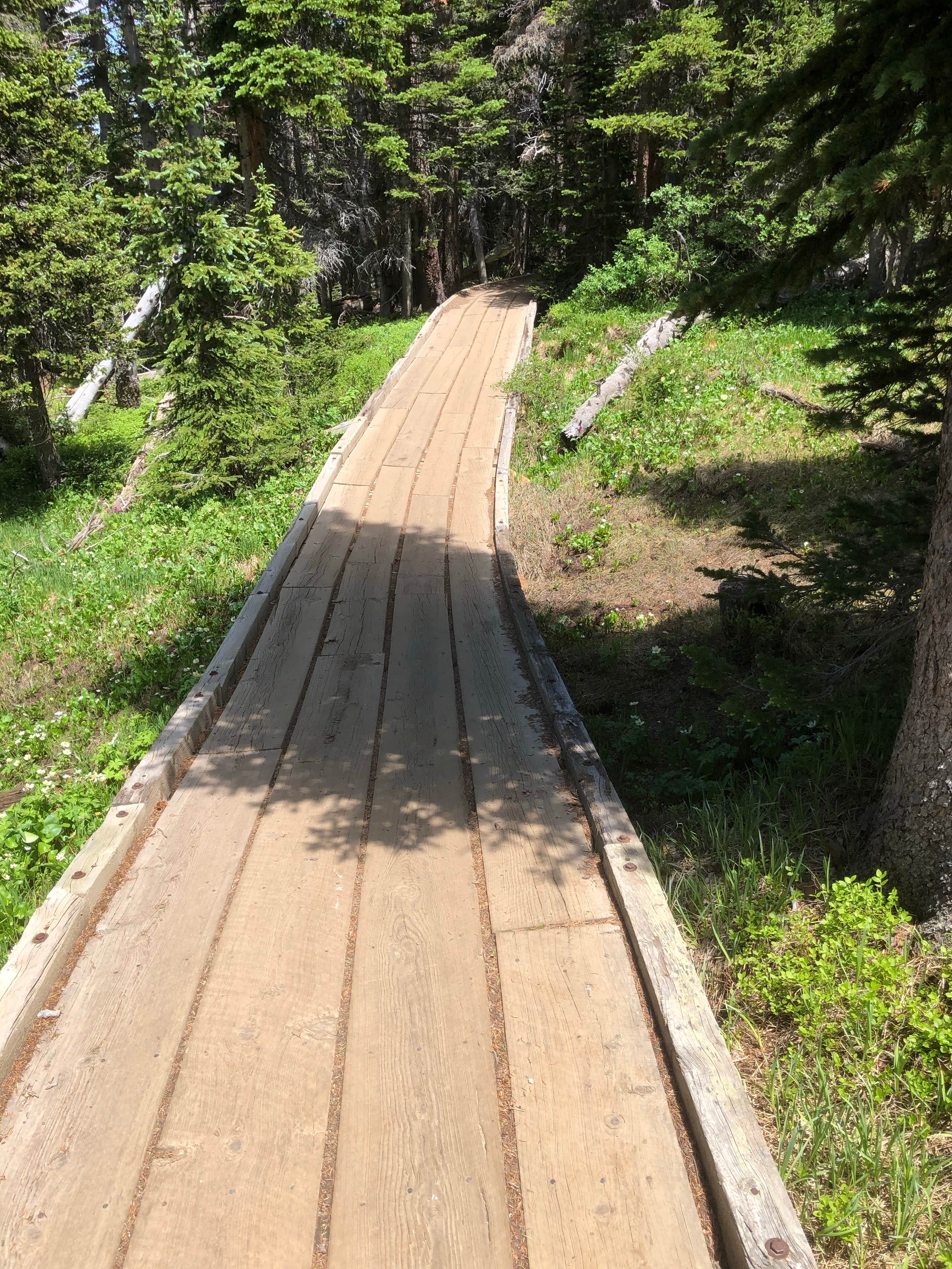 Camper submitted image from Brainard Lake Recreation Area - 3
