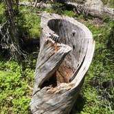 Review photo of Brainard Lake Recreation Area by Thomas B., July 8, 2020