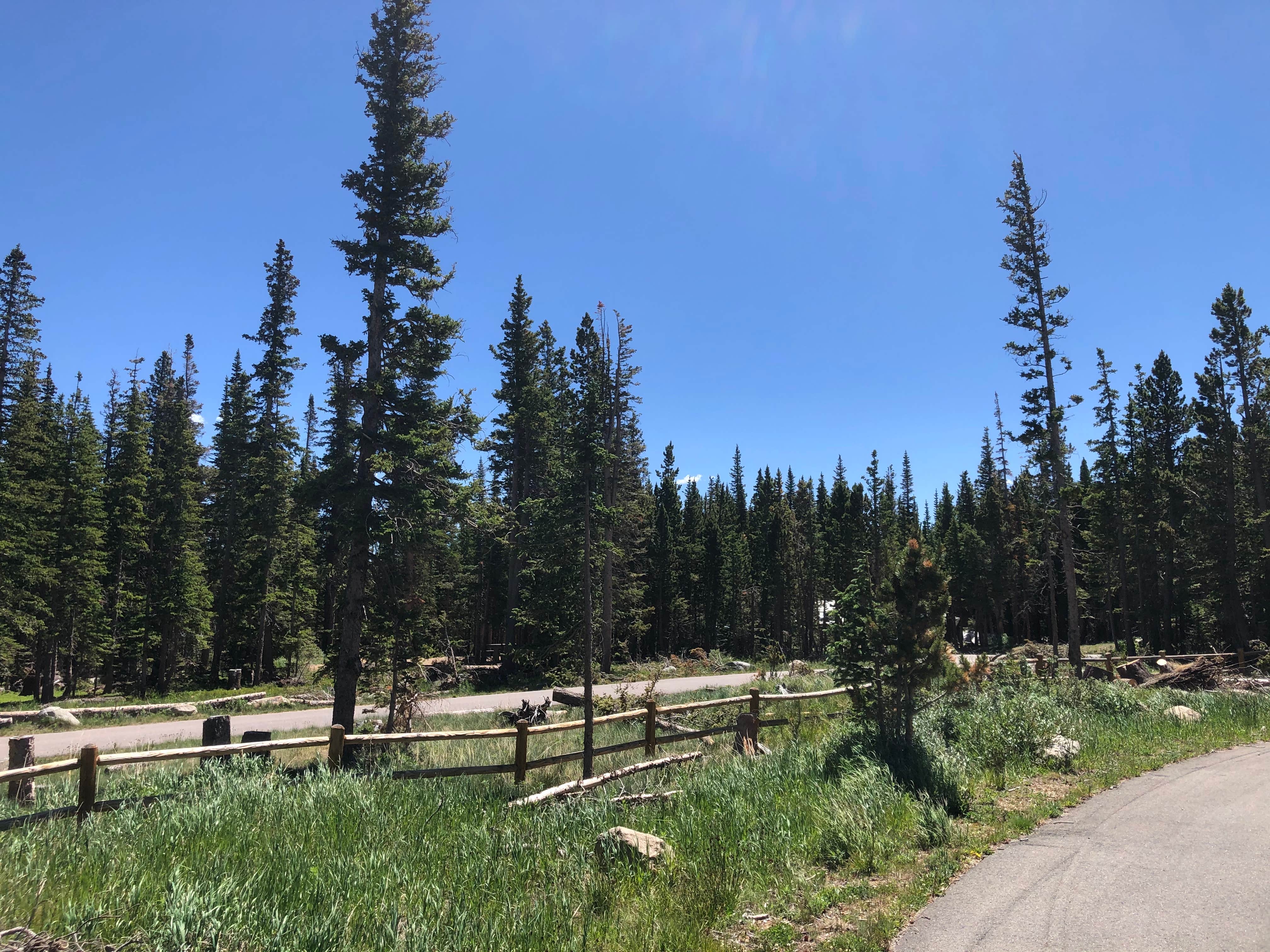 Camper submitted image from Brainard Lake Recreation Area - 5