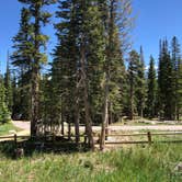Review photo of Brainard Lake Recreation Area by Thomas B., July 8, 2020