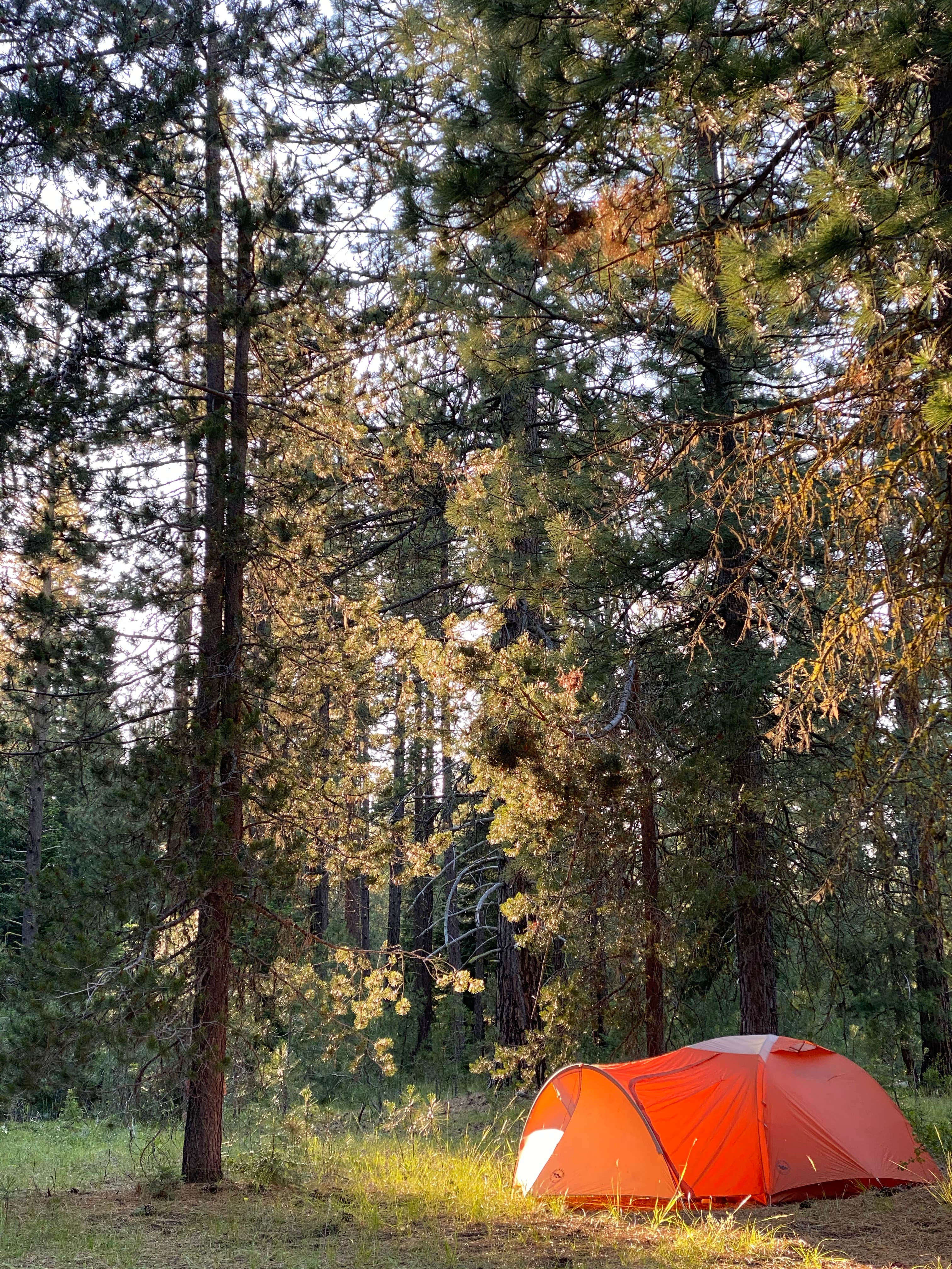 Winston S.'s photo at Annie Creek Sno-Park in Oregon