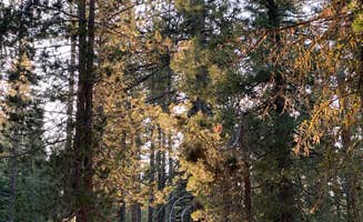 Winston S.'s photo at Annie Creek Sno-Park in Oregon