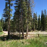 Review photo of Pawnee Campground by Thomas B., July 9, 2020