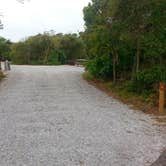 Review photo of Henderson Beach State Park Campground by Nancy W., January 4, 2018