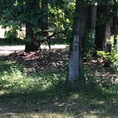 Review photo of Sharp Park Campground by Joie V., July 9, 2020