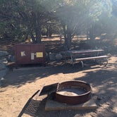 Review photo of Pinon Flats Campground — Great Sand Dunes National Park by Eli W., July 9, 2020