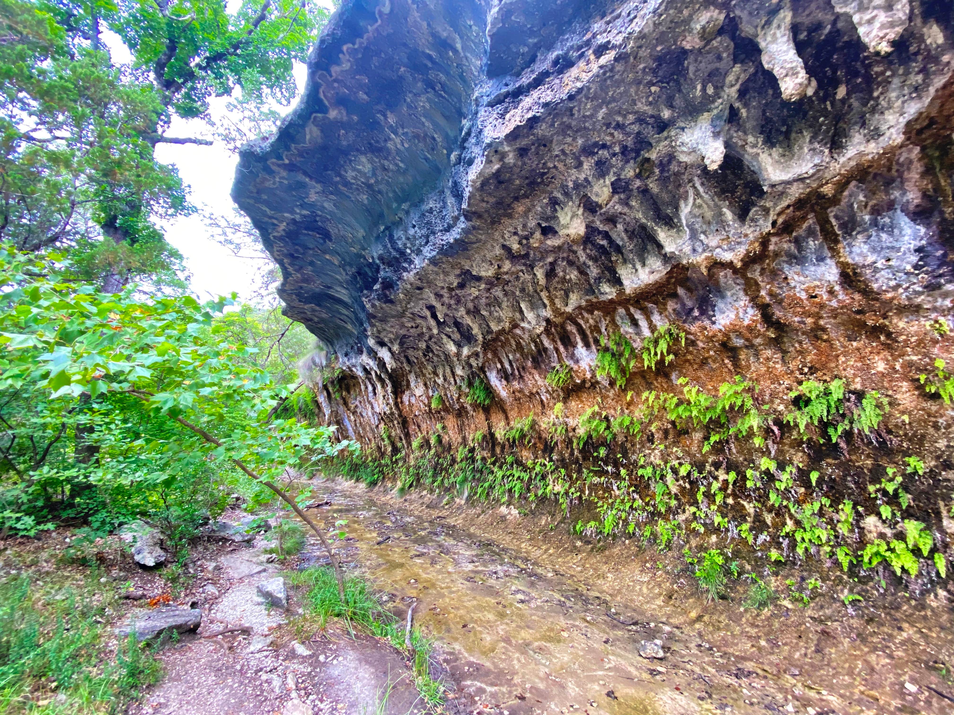 Mountain Home photo 3