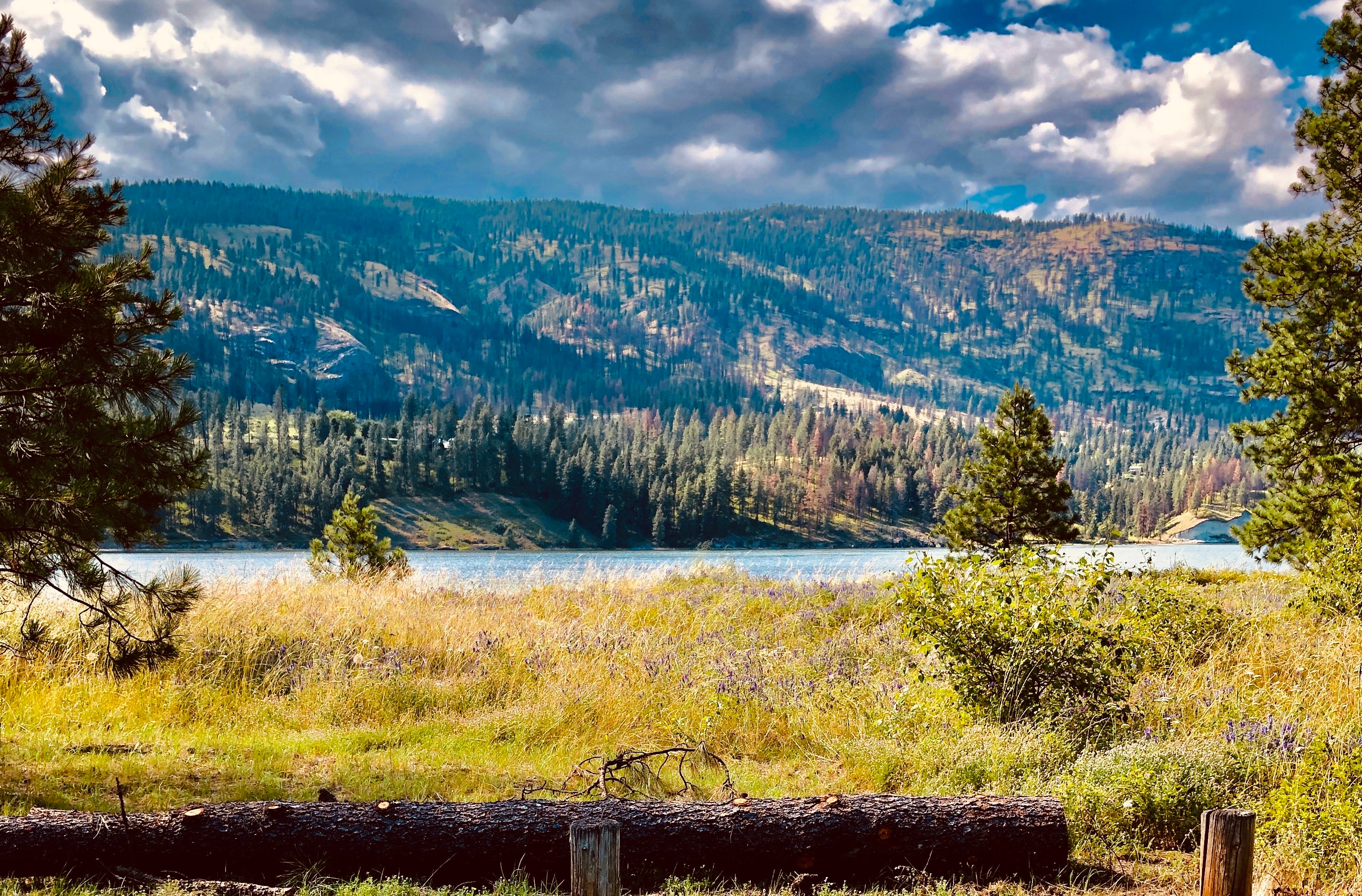 Camper submitted image from Kettle Falls Campground — Lake Roosevelt National Recreation Area - 2