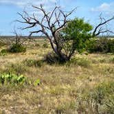 Review photo of Red Arroyo — San Angelo State Park by Mic R., July 9, 2020