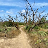 Review photo of North Concho — San Angelo State Park by Mic R., July 9, 2020