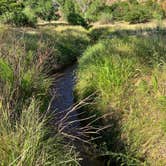 Review photo of Juniper Campground — Palo Duro Canyon State Park by Mic R., July 9, 2020