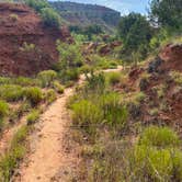 Review photo of Juniper Campground — Palo Duro Canyon State Park by Mic R., July 9, 2020