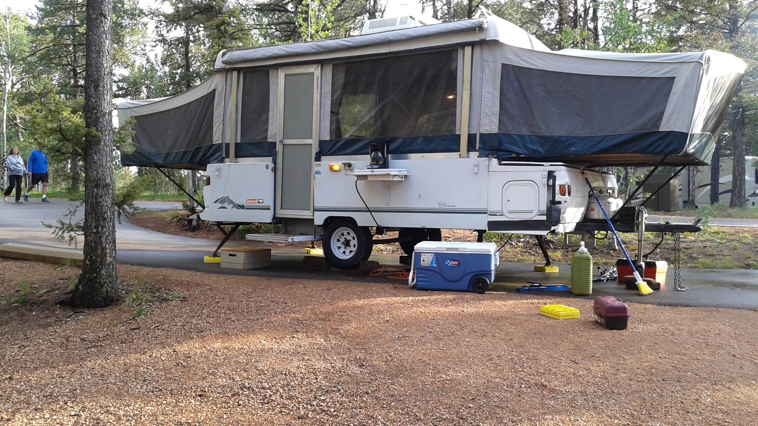 Camper submitted image from Mueller State Park Campground - 5