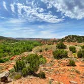 Review photo of Juniper Campground — Palo Duro Canyon State Park by Mic R., July 9, 2020