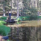 Review photo of Mueller State Park Campground by Jim W., January 6, 2018