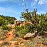 Review photo of Juniper Campground — Palo Duro Canyon State Park by Mic R., July 9, 2020