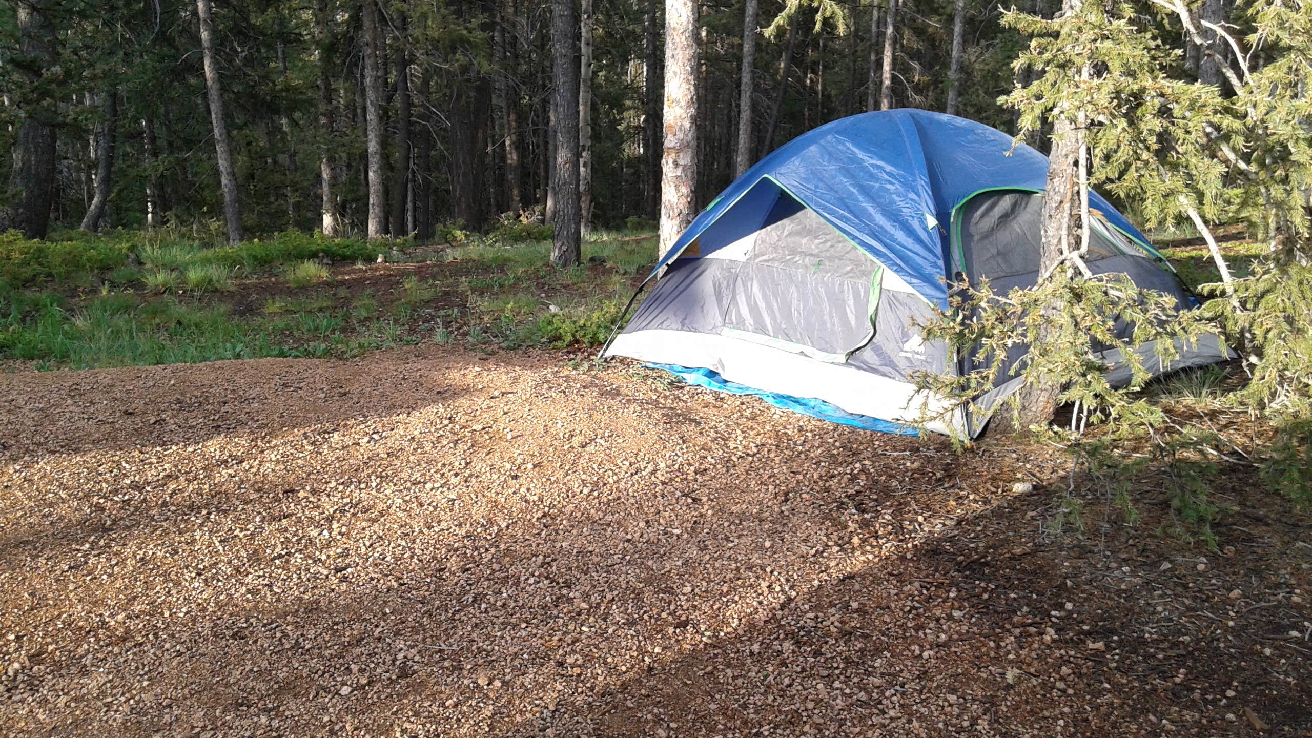 Camper submitted image from Mueller State Park Campground - 5