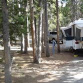Review photo of Deer Creek Campground — Golden Gate Canyon by Jim W., January 6, 2018