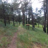 Review photo of Bessey Recreation Complex Campground by Charles C., July 9, 2020