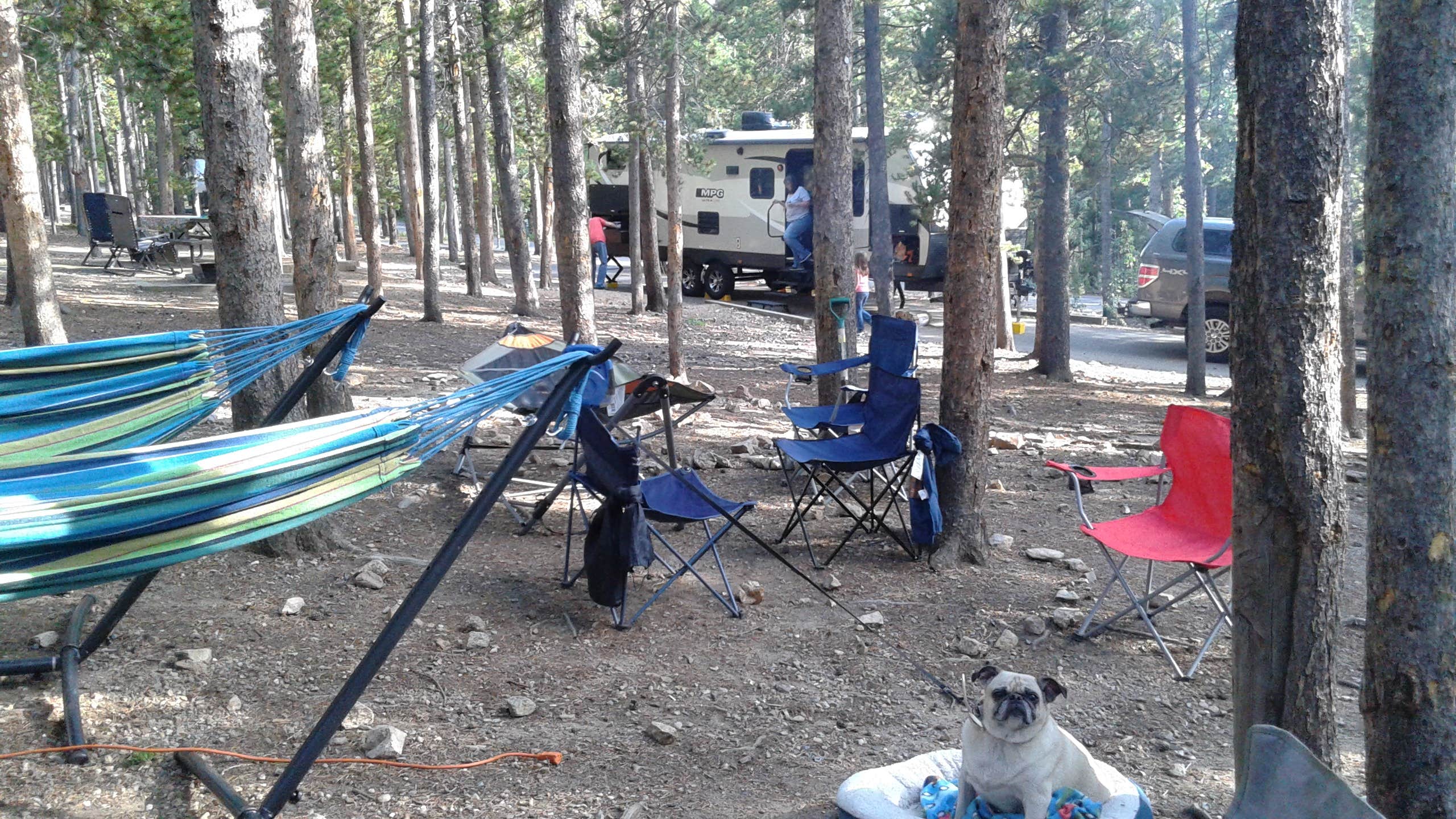 Jim W.'s photo of rv camping at Deer Creek Campground — Golden Gate Canyon near Wheat Ridge, CO