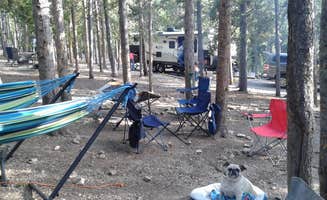Jim W.'s photo of rv camping at Deer Creek Campground — Golden Gate Canyon near Golden, CO