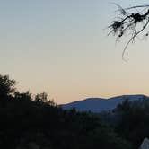 Review photo of Idyllwild Campground — Mount San Jacinto State Park by Jeffrey F., July 9, 2020