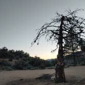 Review photo of Idyllwild Campground — Mount San Jacinto State Park by Jeffrey F., July 9, 2020