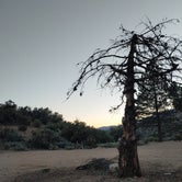 Review photo of Mount San Jacinto State Park Campground by Jeffrey F., July 9, 2020