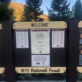 Review photo of Inyo National Forest Oh Ridge Campground by Thomas K., July 9, 2020