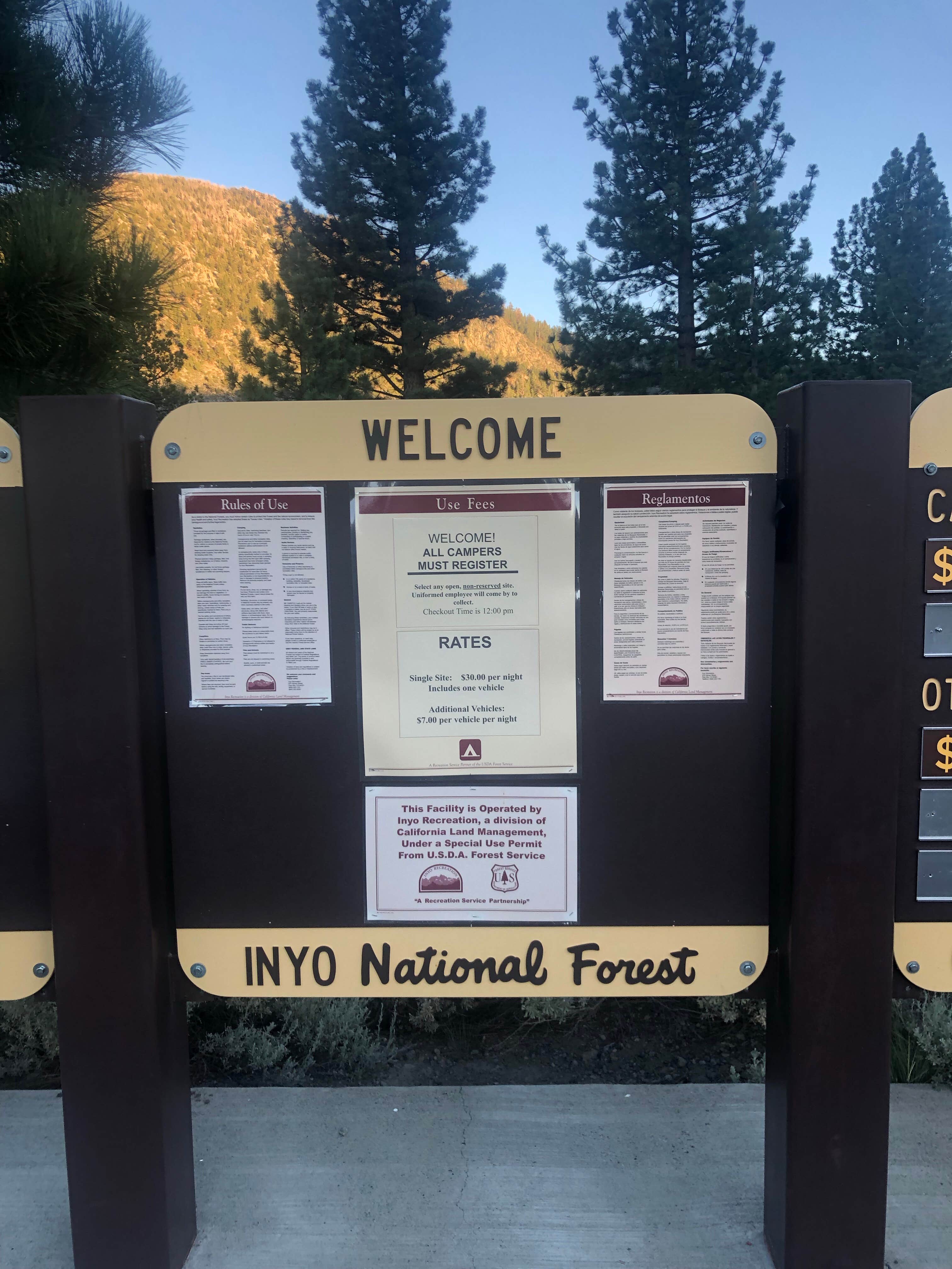 Camper submitted image from Inyo National Forest Oh Ridge Campground - 5