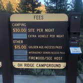 Review photo of Inyo National Forest Oh Ridge Campground by Thomas K., July 9, 2020