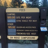 Review photo of Oh! Ridge Campground by Thomas K., July 9, 2020