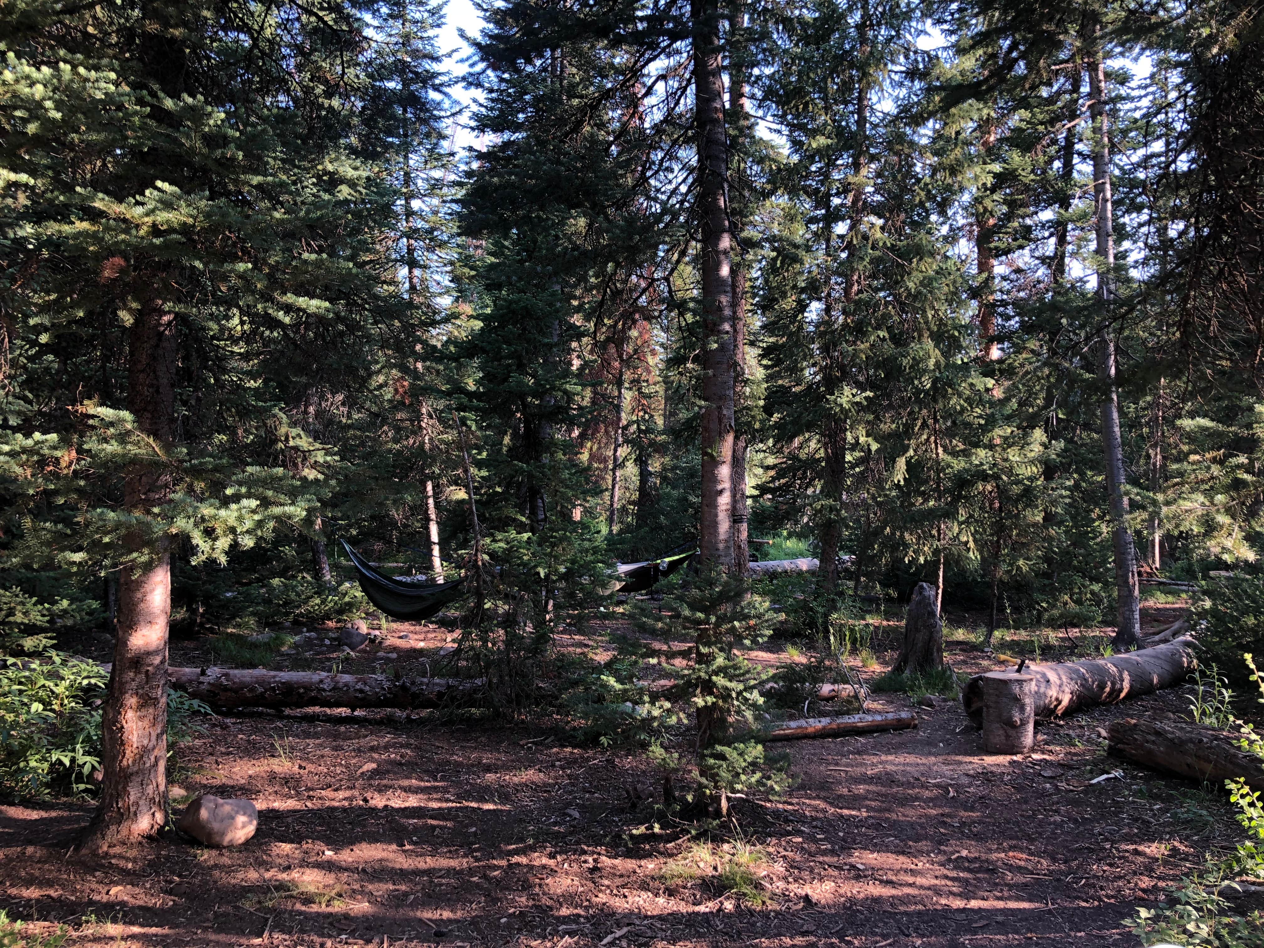 Camper-submitted photo at Ledgefork - Jordanelle State Park near Oakley, UT