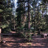 Review photo of Ledgefork - Jordanelle State Park by Shad G., July 9, 2020