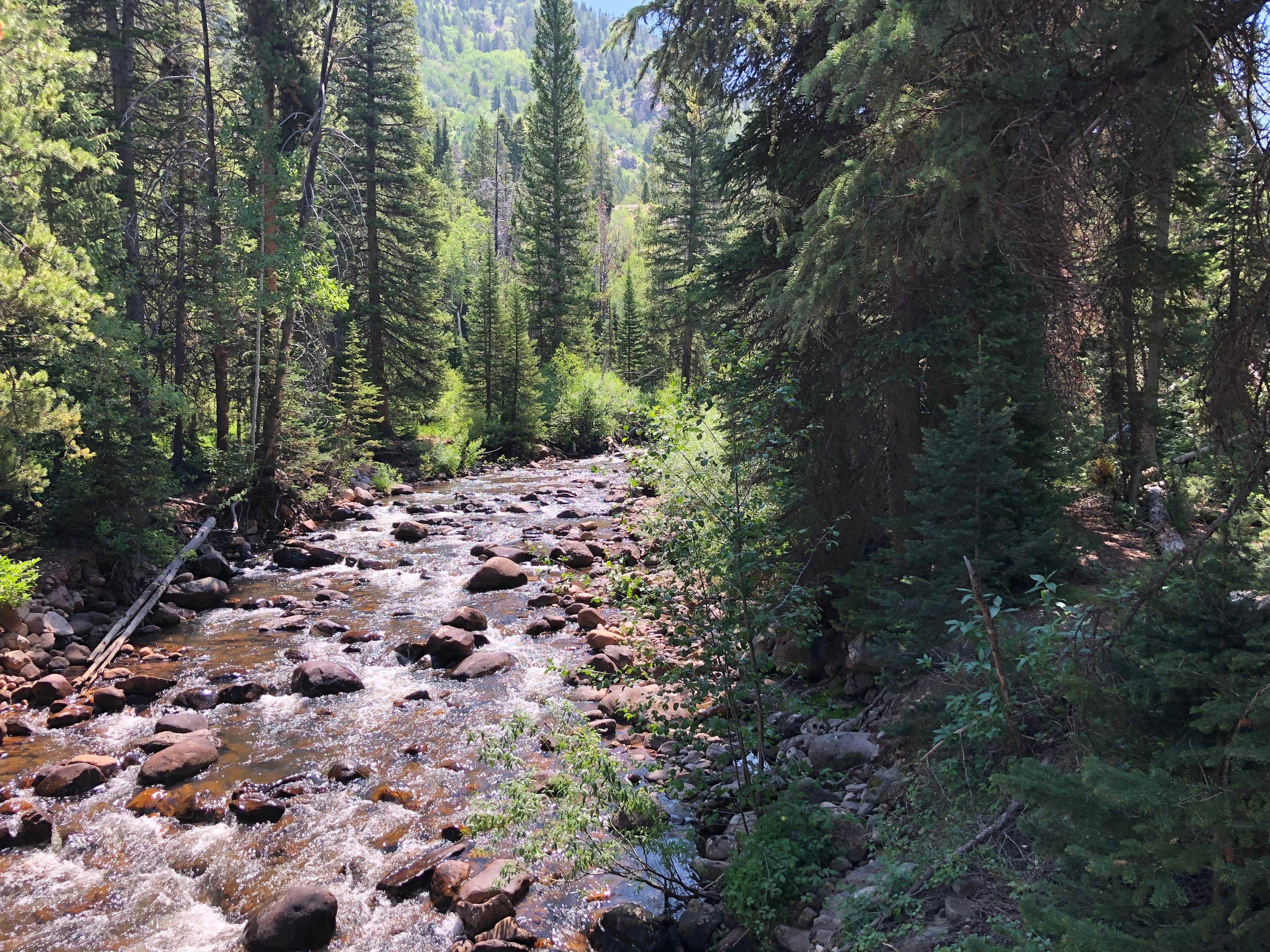 Camper-submitted photo at Ledgefork - Jordanelle State Park near Oakley, UT
