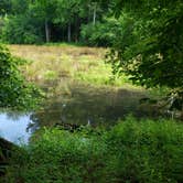 Review photo of Chattahoochee Bend State Park Campground by Erin C., July 9, 2020