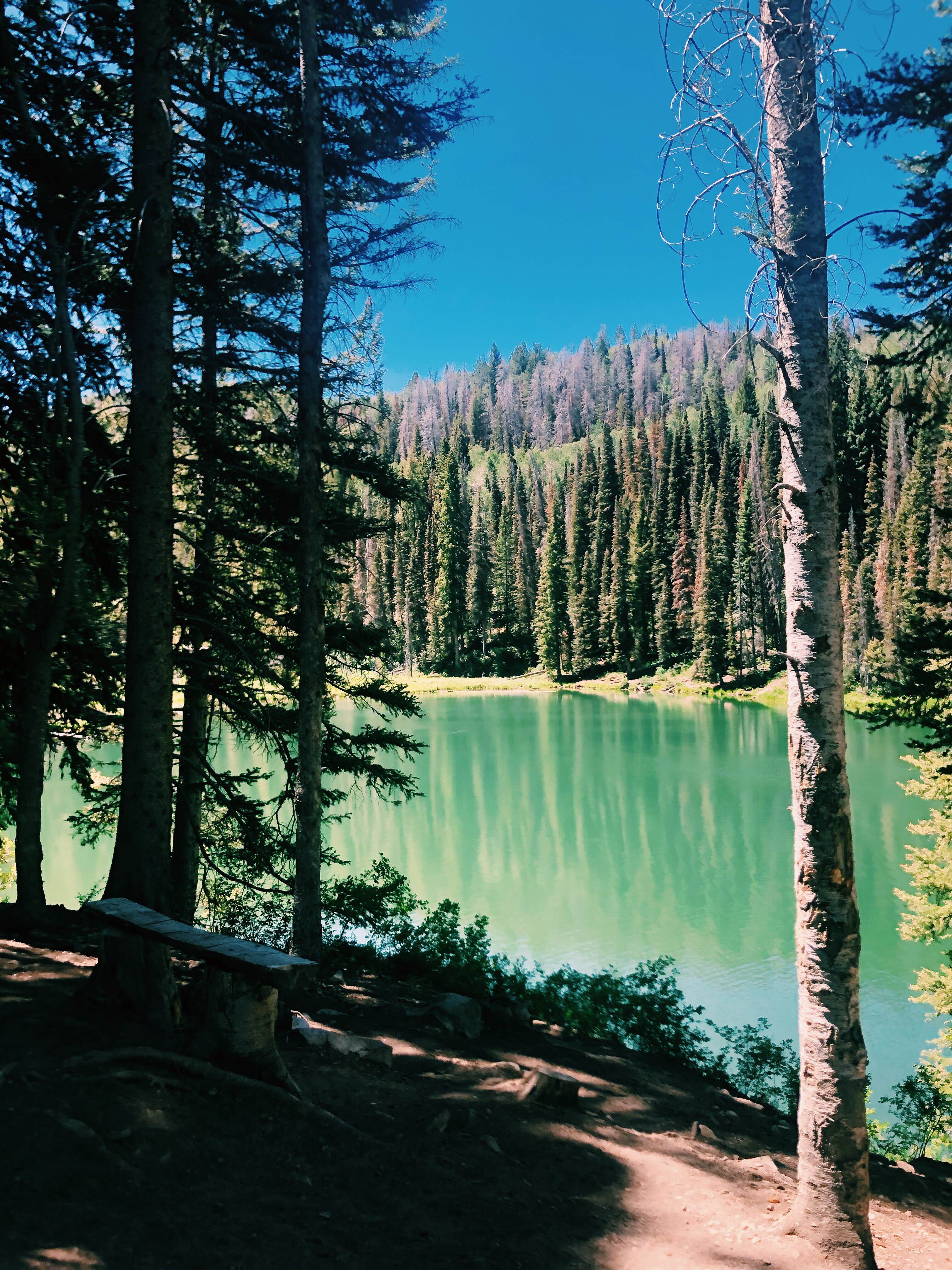 Camper submitted image from Manti-LaSal National Forest Oowah Lake Campground - 4