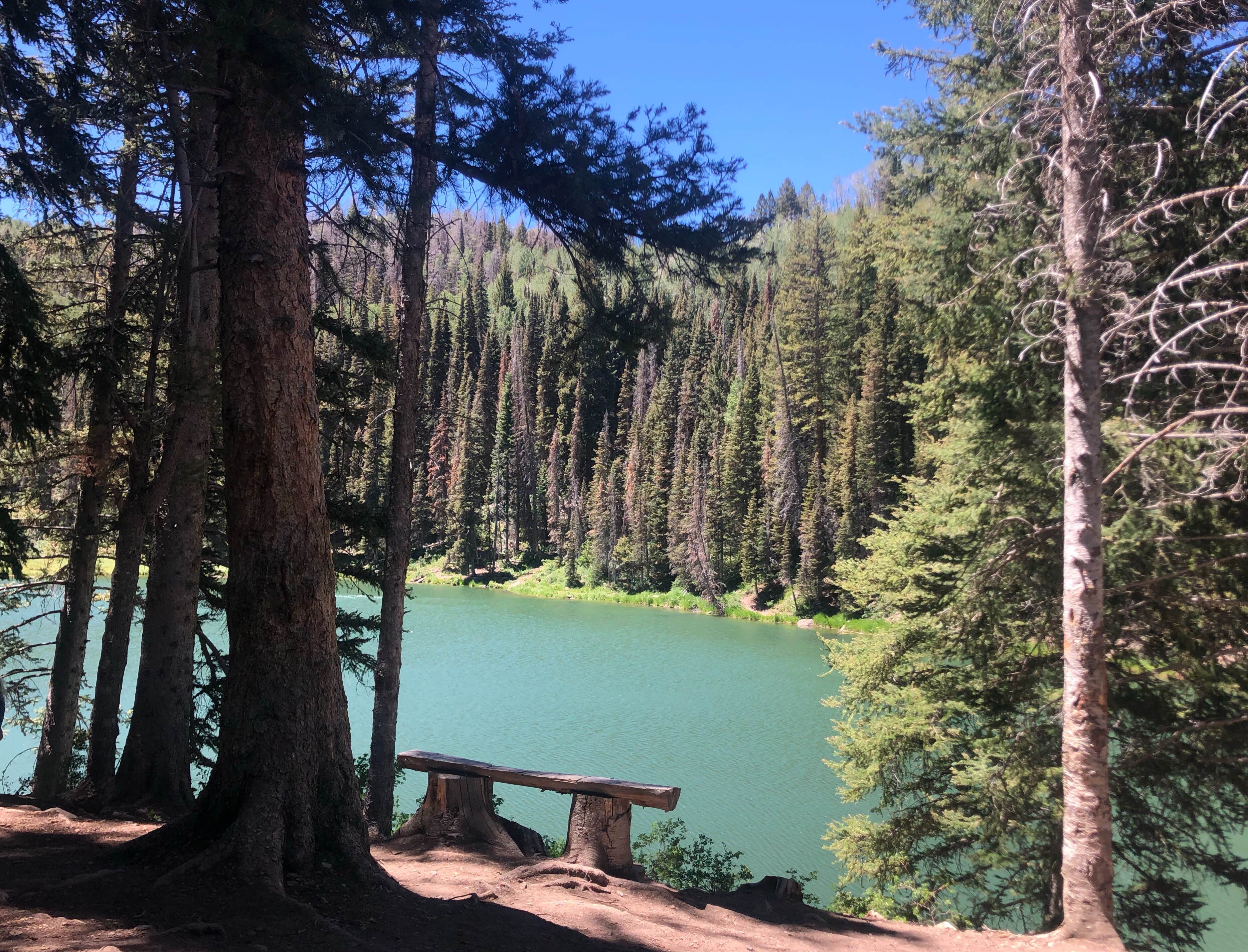 Camper submitted image from Manti-LaSal National Forest Oowah Lake Campground - 3