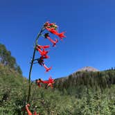 Review photo of Manti-LaSal National Forest Oowah Lake Campground by Ruby W., July 9, 2020