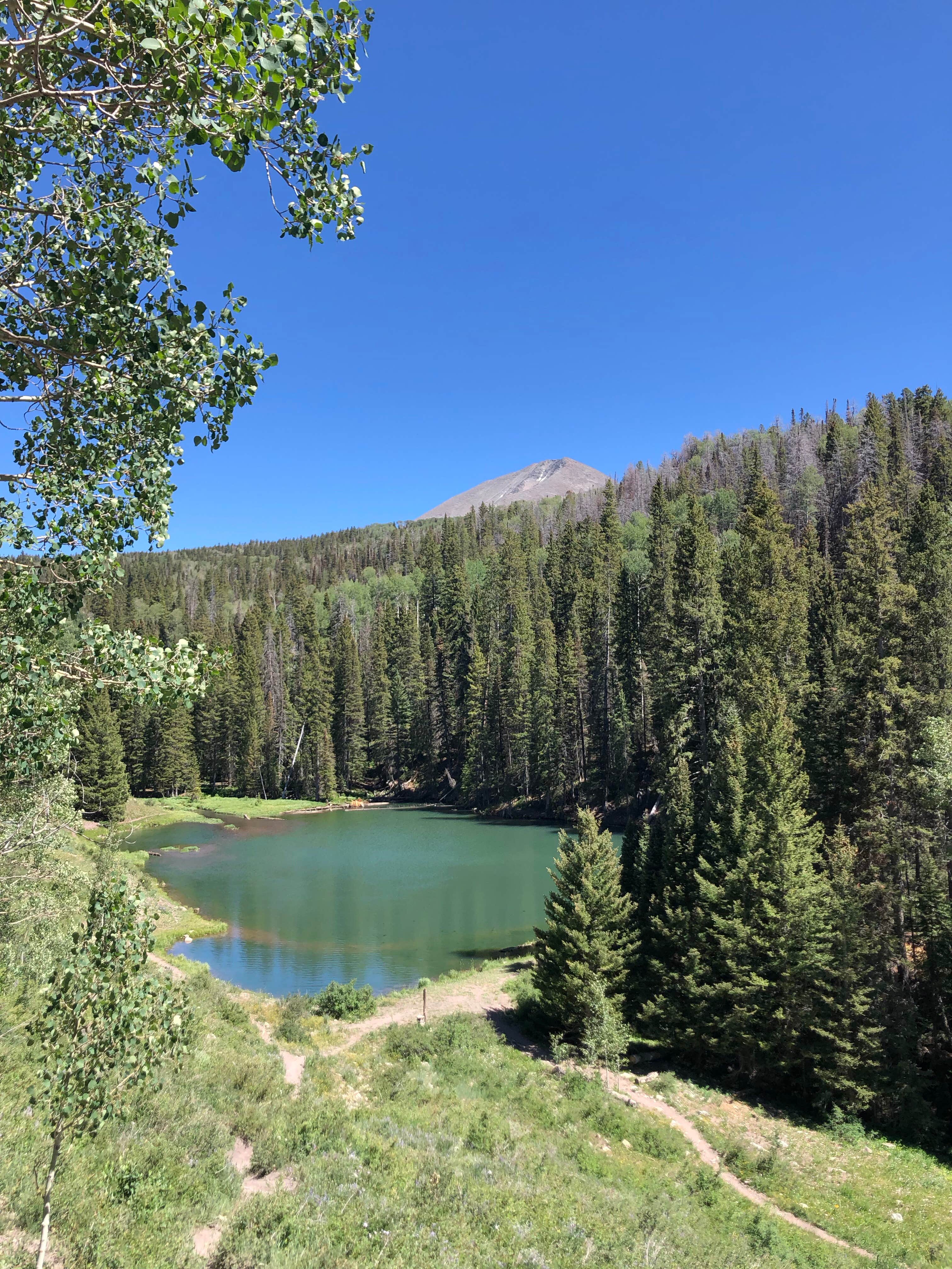 Camper-submitted photo at Manti-LaSal National Forest Oowah Lake Campground near Castle Valley, UT