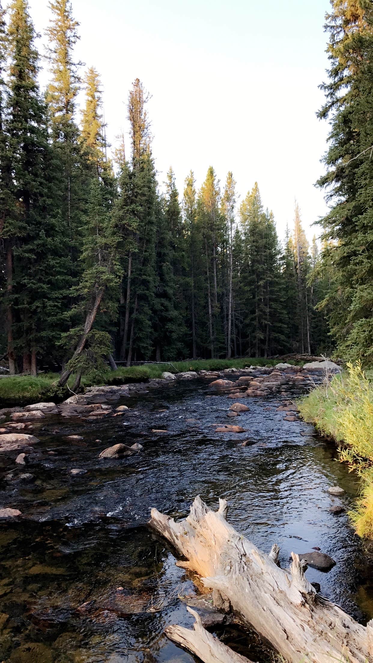Camper-submitted photo at Island Park Campground near Greybull, WY