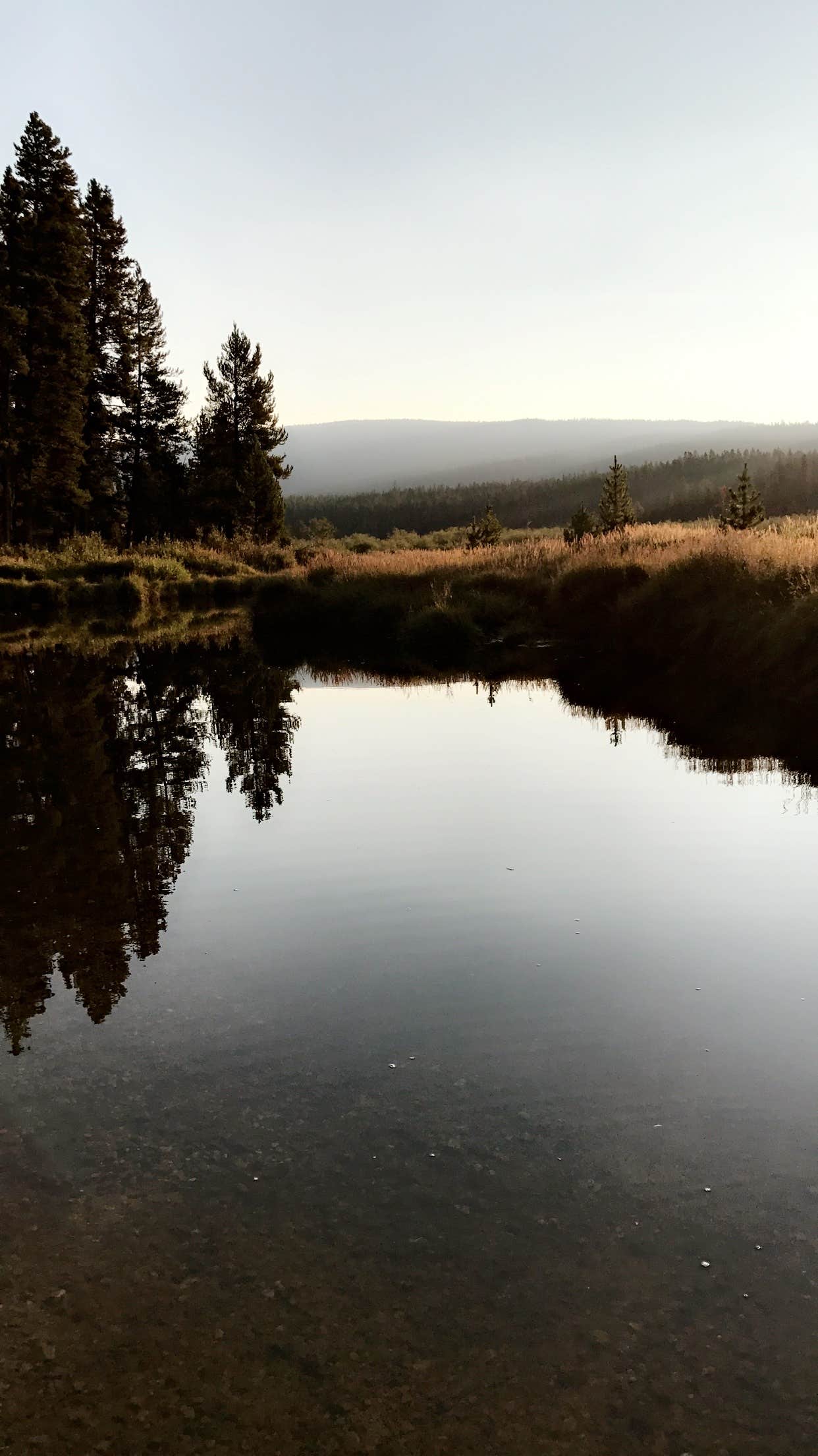 Camper-submitted photo at Island Park Campground near Greybull, WY