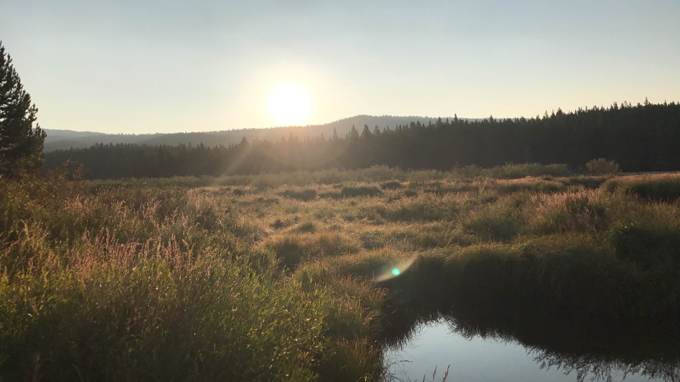 Camper-submitted photo at Island Park Campground near Greybull, WY