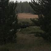 Review photo of Island Park Campground by Cheyenne P., July 9, 2020