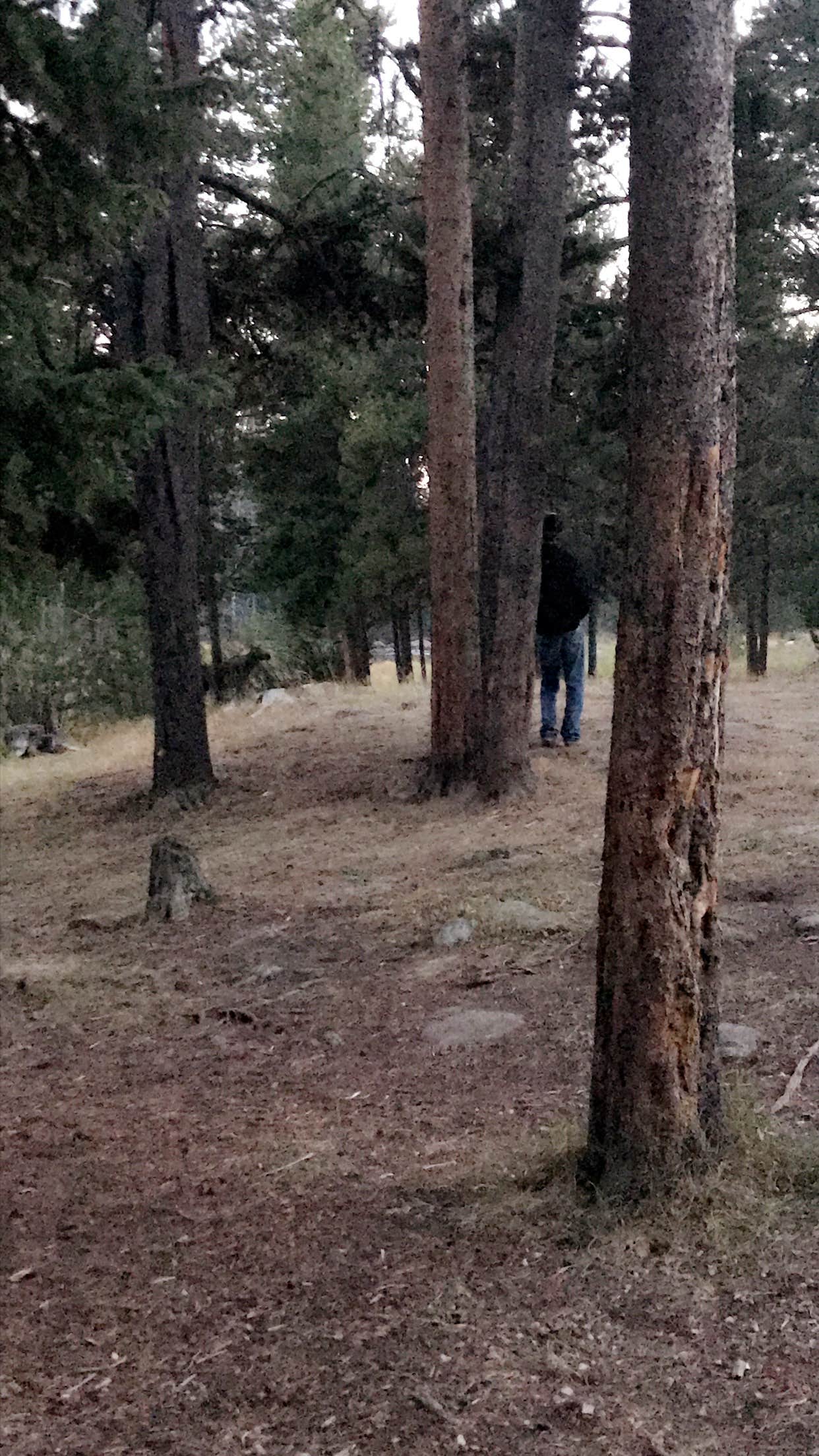 Camper-submitted photo at Island Park Campground near Greybull, WY