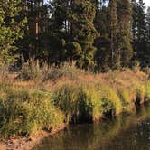 Review photo of Island Park Campground by Cheyenne P., July 9, 2020