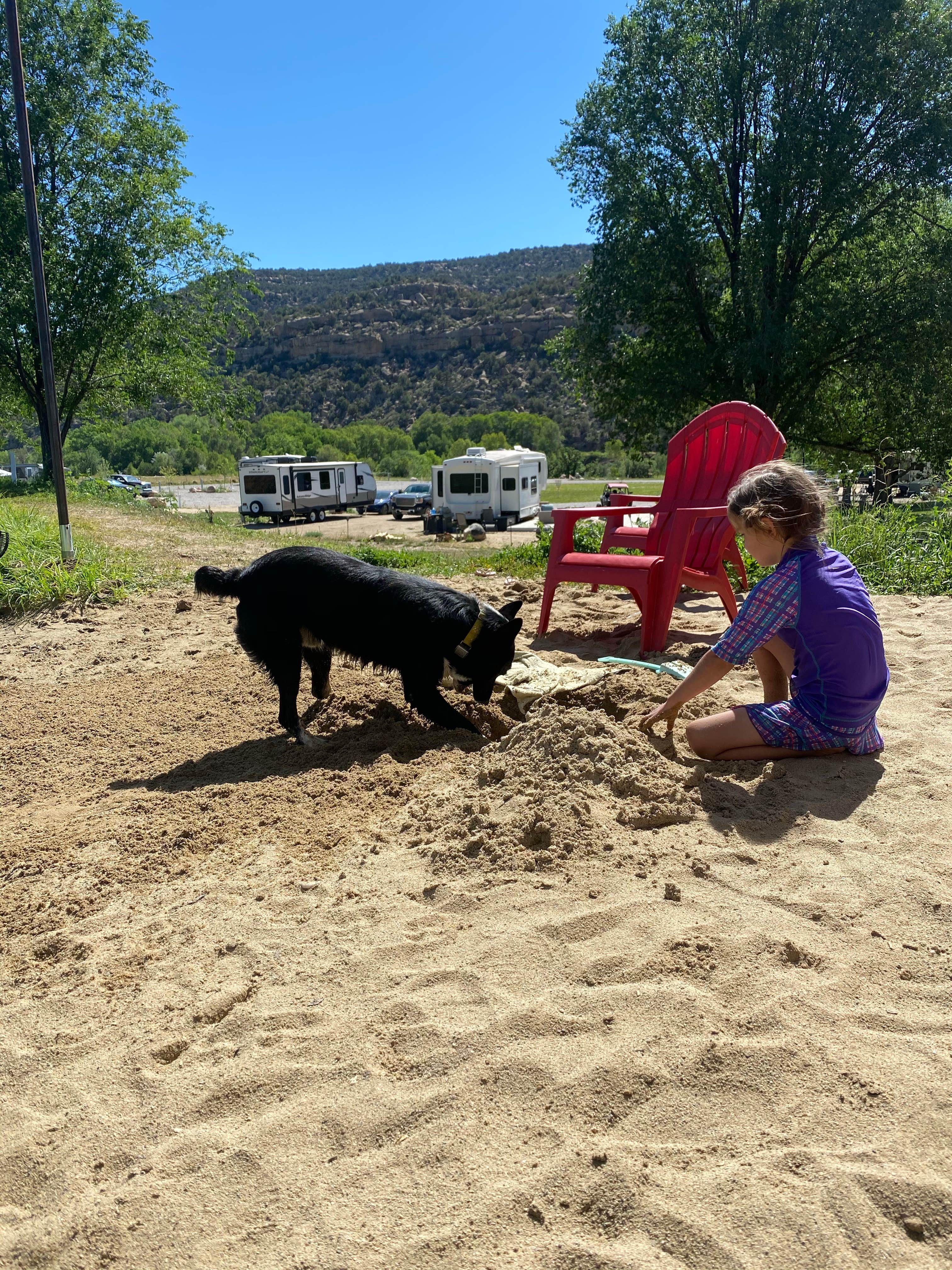 Heather D.'s photo of camping with pets at Tico Time River Resort near Aztec, NM