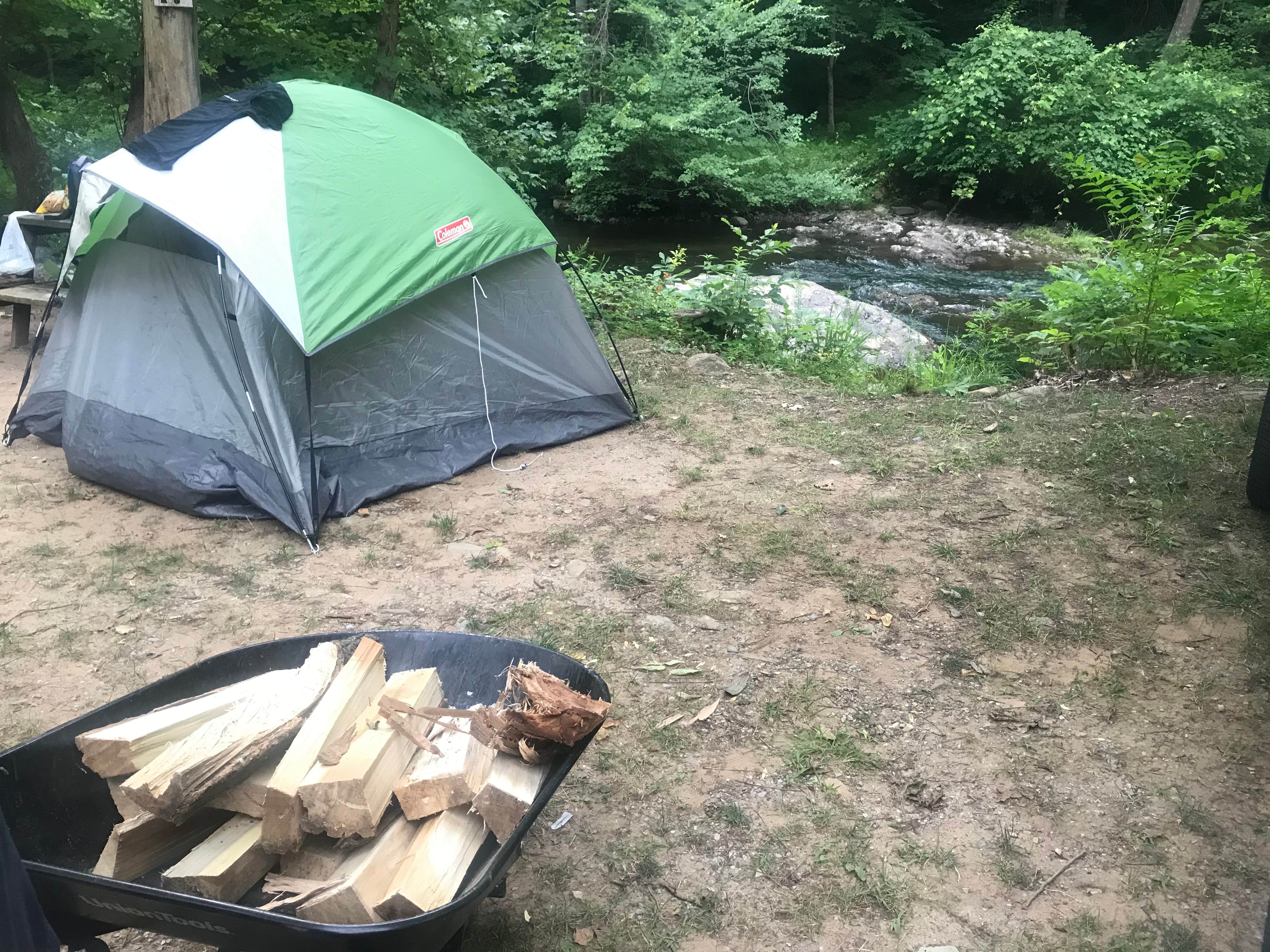 Amy F.'s photo at Gooney Creek Campground near Huntly, VA