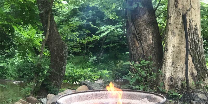 Camper submitted image from Gooney Creek Campground