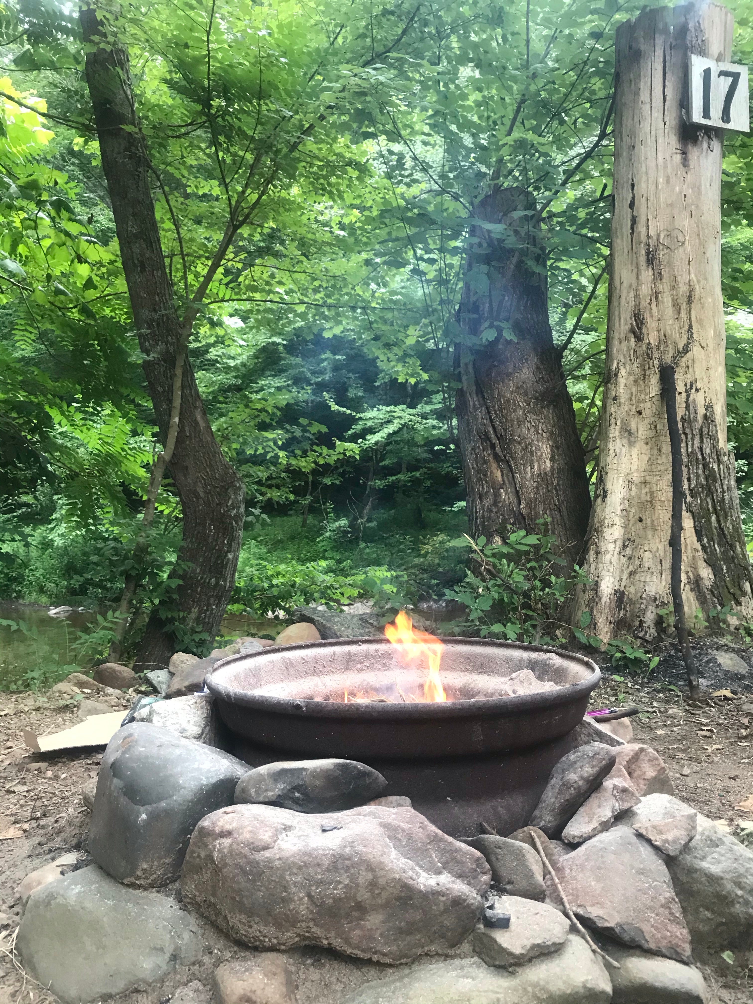 Camper submitted image from Gooney Creek Campground - 1